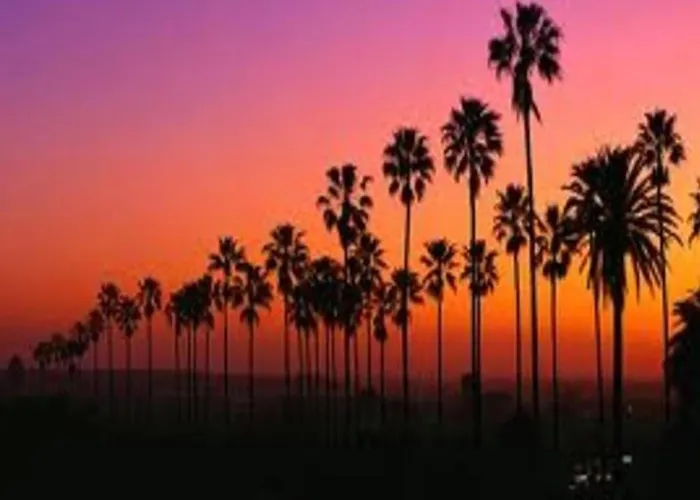 Venice Beach s Monthly Rents